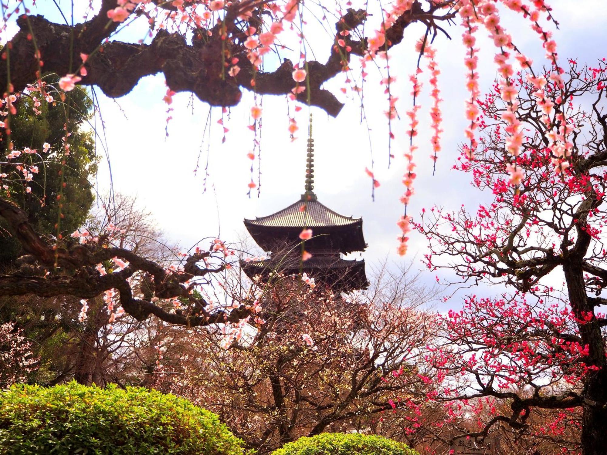 Stay Sakura Kyoto Higashi Hongan-Ji I Luaran gambar
