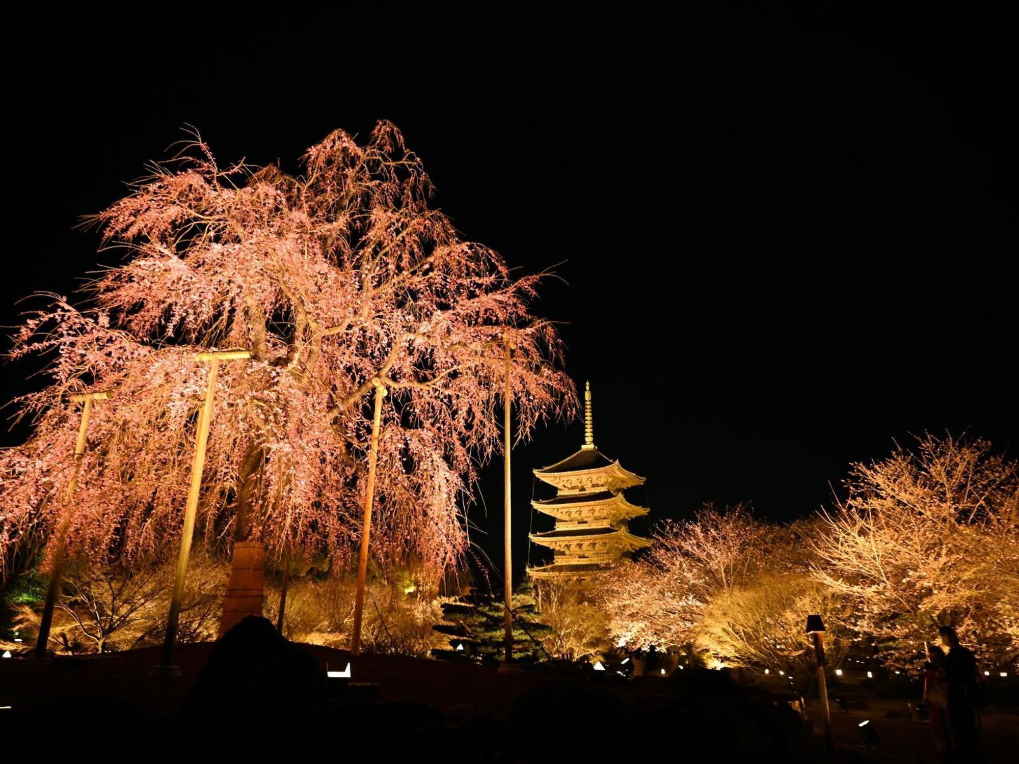 Stay Sakura Kyoto Higashi Hongan-Ji I Luaran gambar