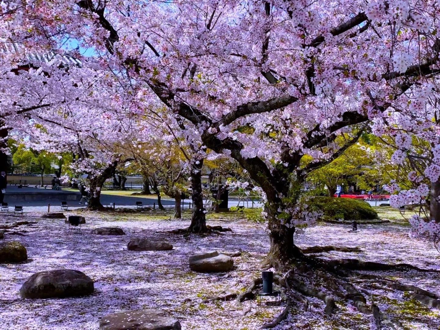 Stay Sakura Kyoto Higashi Hongan-Ji I Luaran gambar